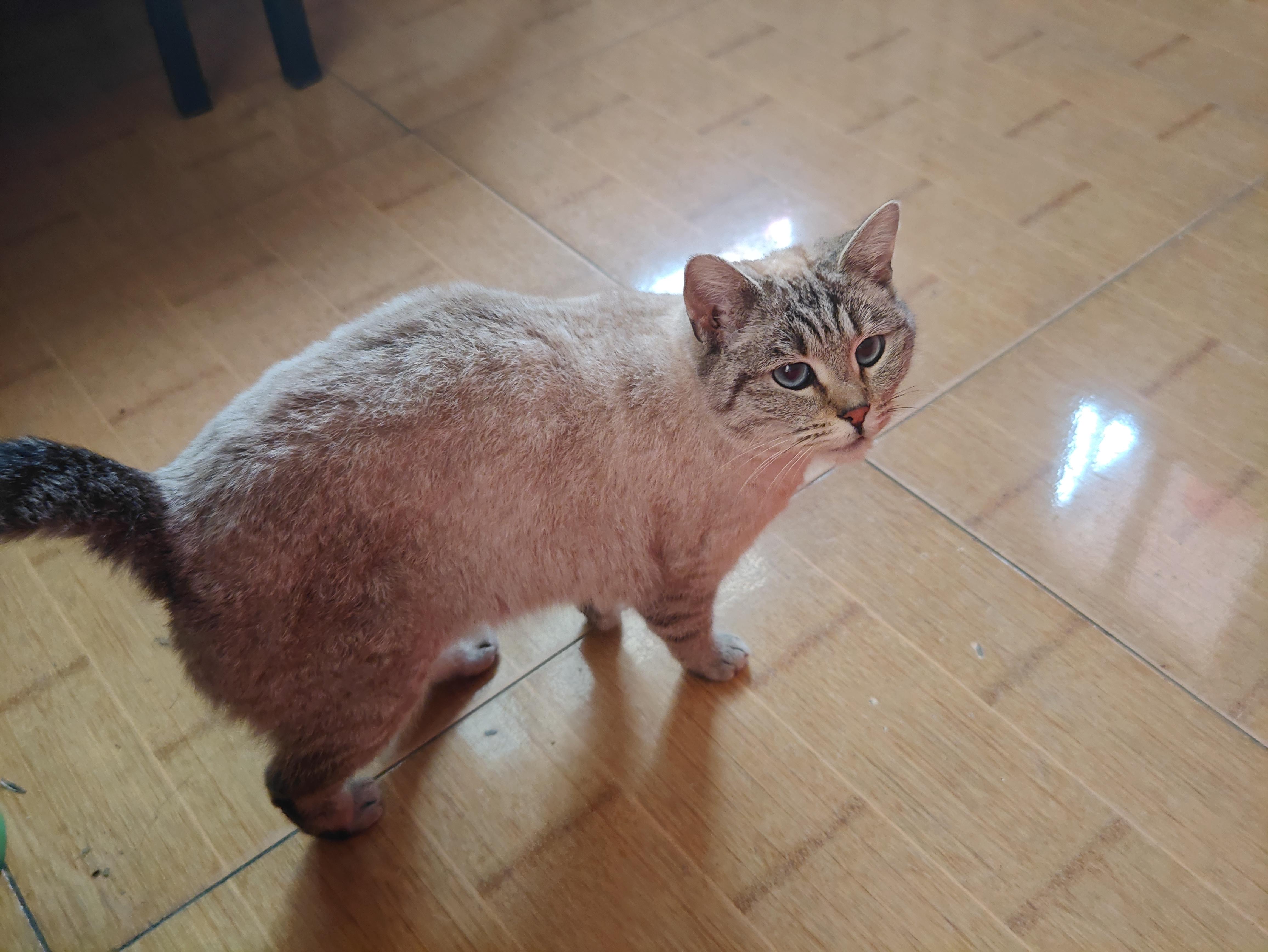 关于扭蛋我想说