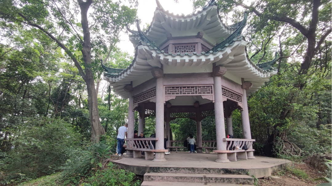 成都董大海支线