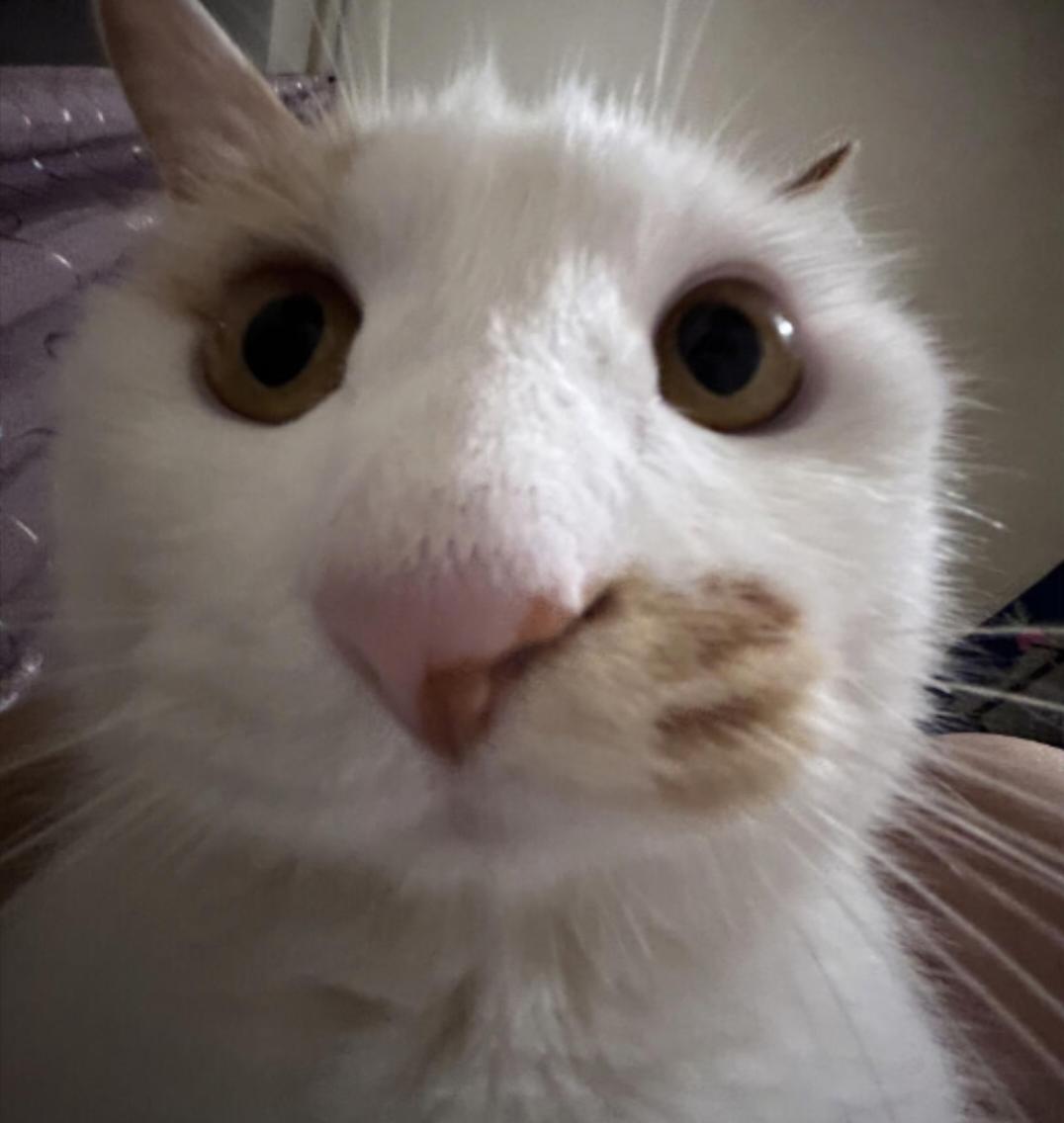 上周才刚码完的同人文