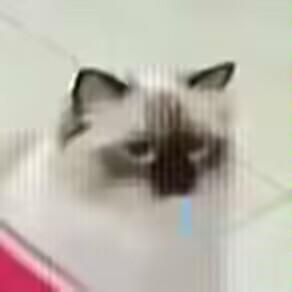 分享一下群友的圣经。