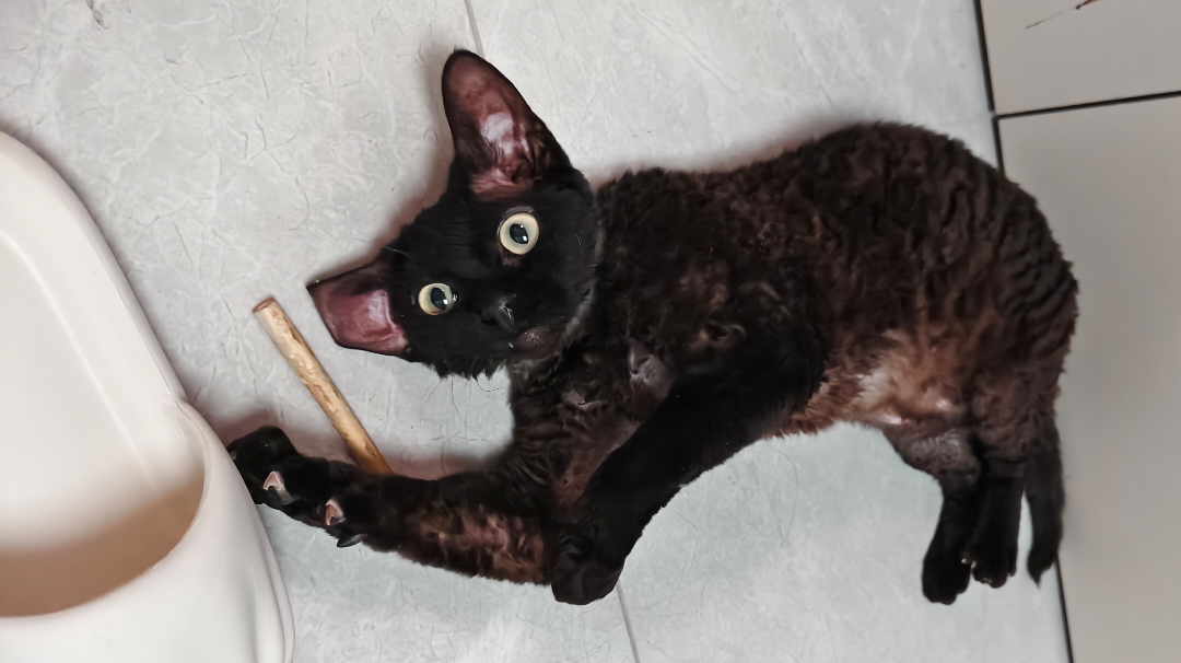 财布没爆炸 不做大头了