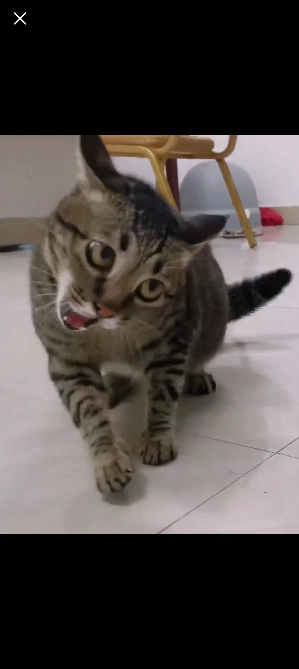 小农还没改的缺点