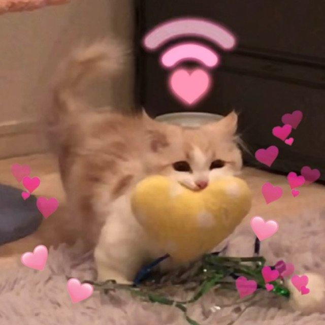 【互动抽奖丨手游限量测试即将正式开启】