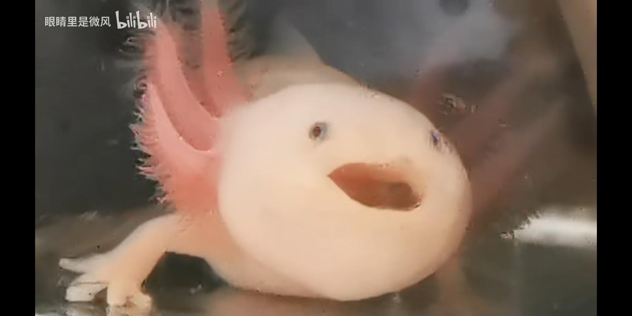 幺零的新小说
