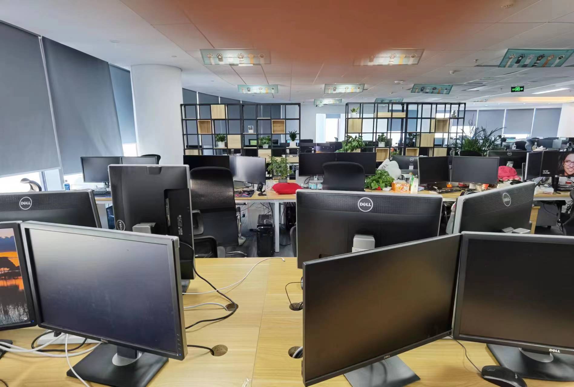 今天的保洁工作 格外轻松