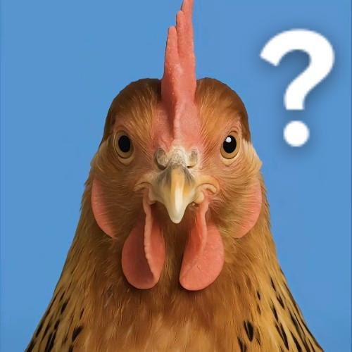 周年庆自选是裁决王好还是萨曼萨好截图