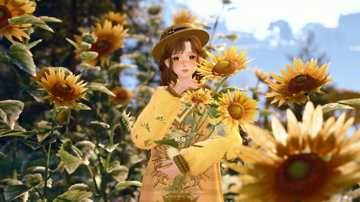 向日葵之夏｜最适合拍向日葵的参数