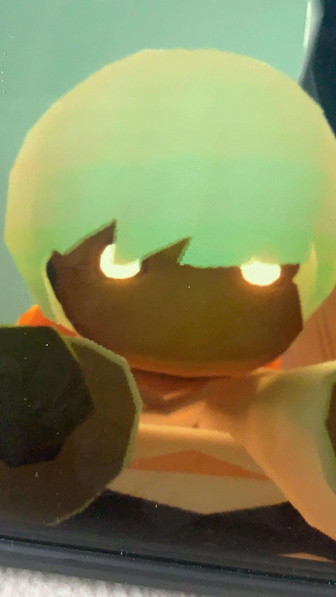 想玩光遇测试服