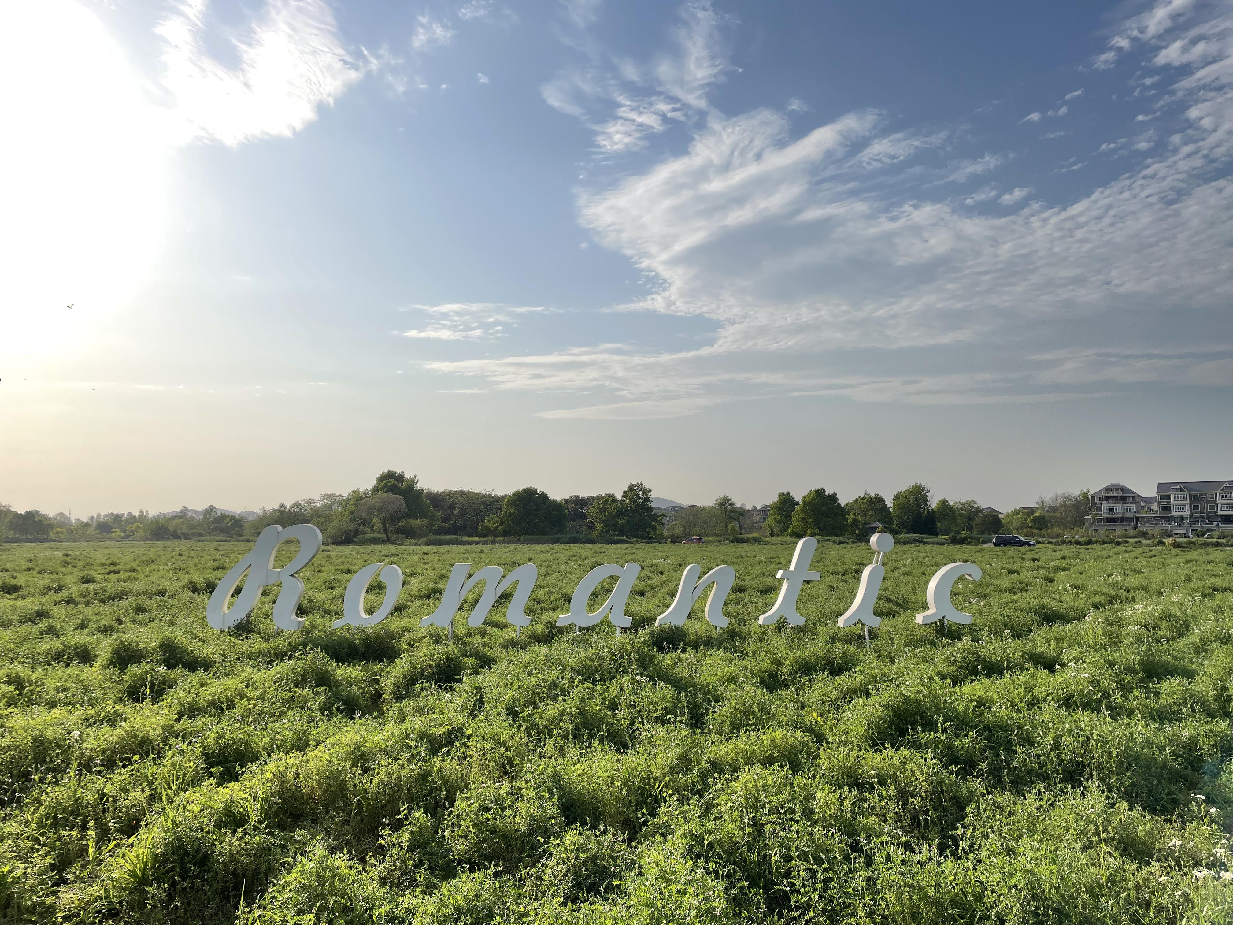 新赛季热门BD构建预测，欢迎交流