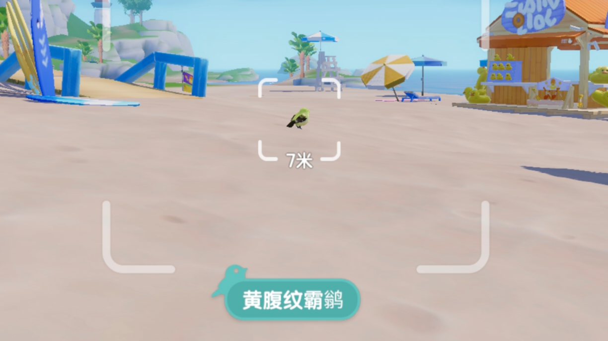 黄腹纹霸鹟&赤颈鸭的寻找位置