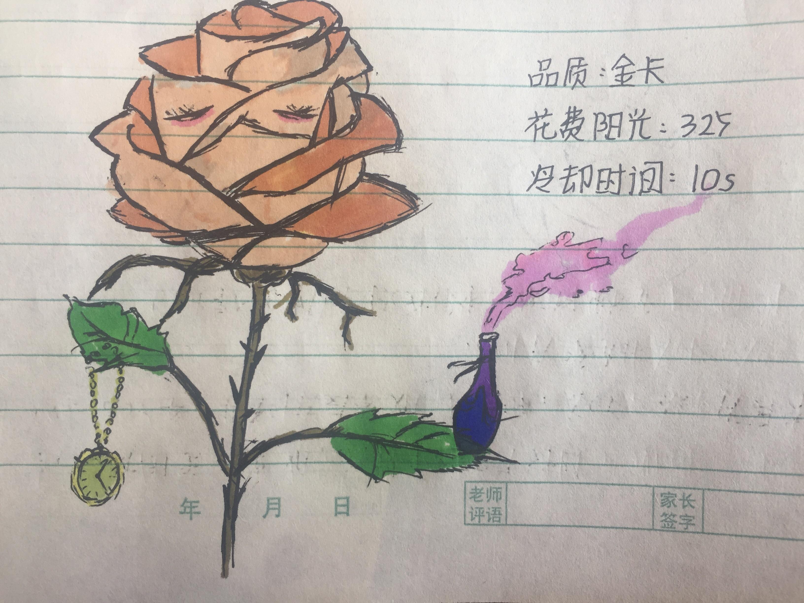 个人设定植物：白玫瑰催眠师