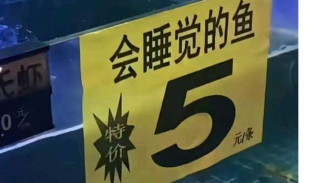 逍遥行目前为止最综合的攻略（含新人、转世、挂机等）