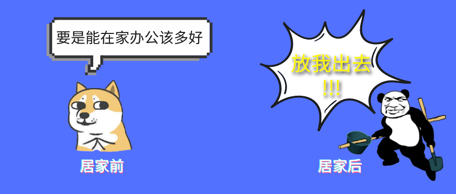 3月21日 运营日记