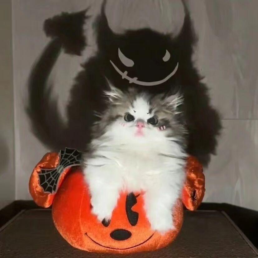 两万上灵氪金攻略