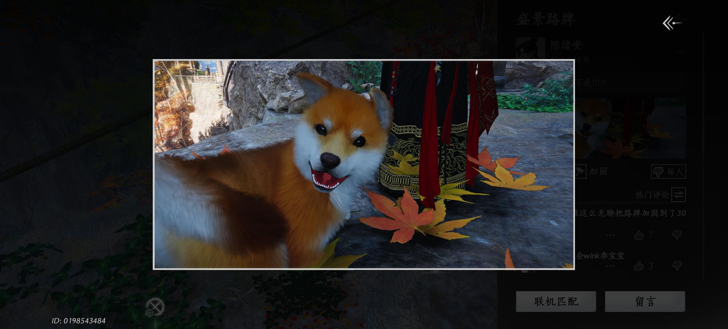 阿旺好可爱，姐姐亲亲！