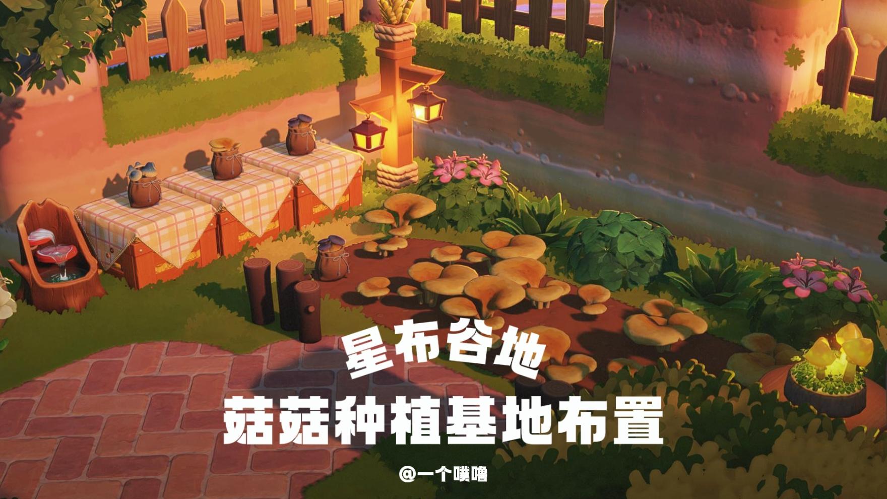 星布谷地丨菇菇种植基地🍄