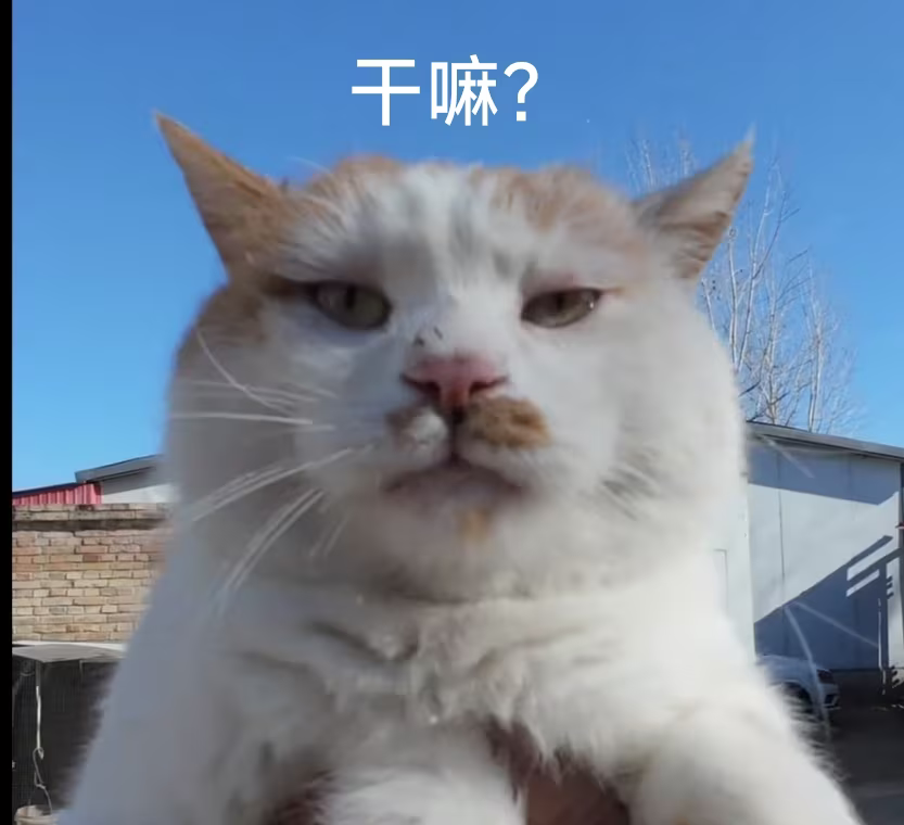 驱入虚空（萌新向）