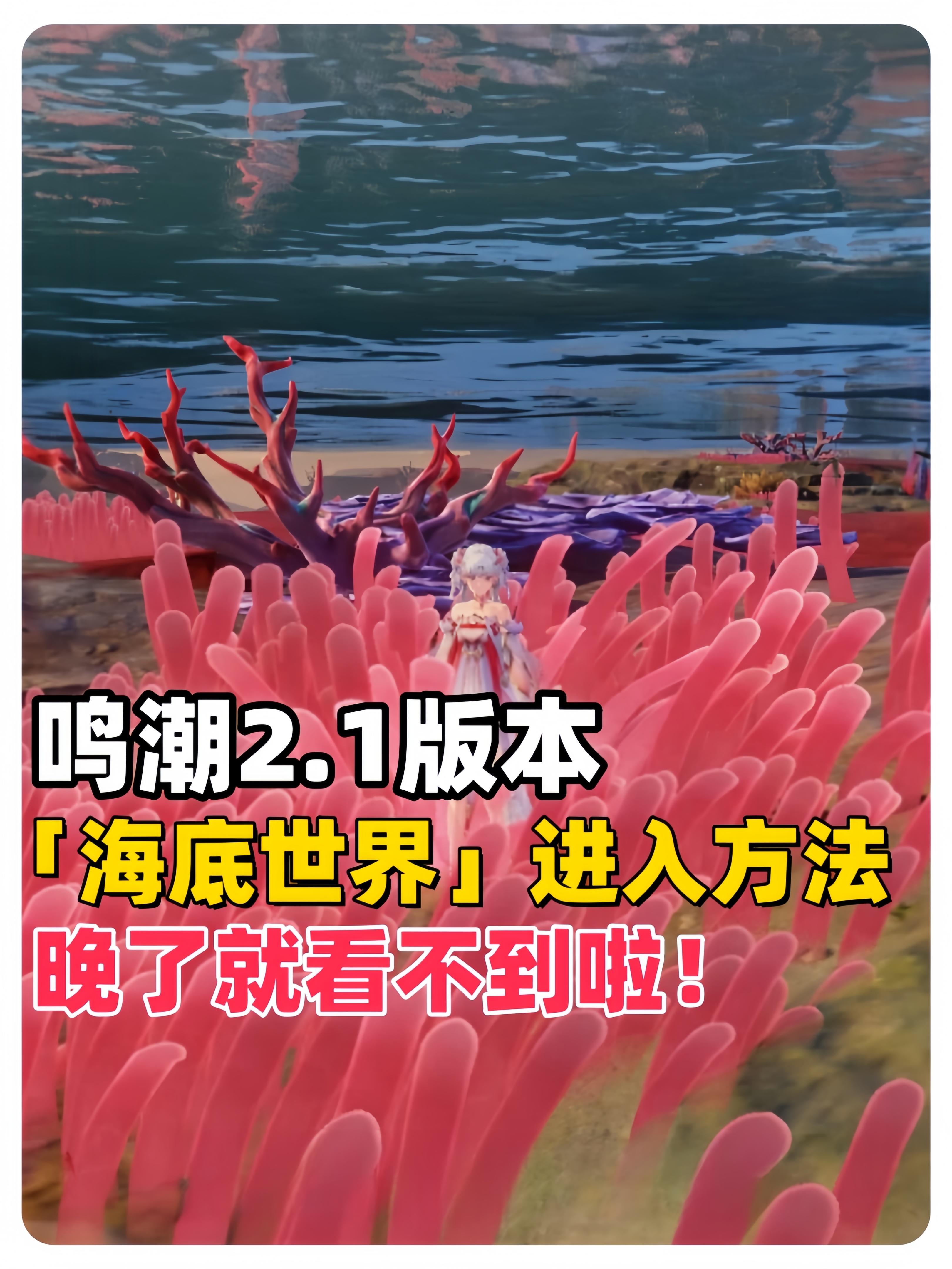 鸣潮2.1版本"海底世界"进入方法，晚了就看不到啦~