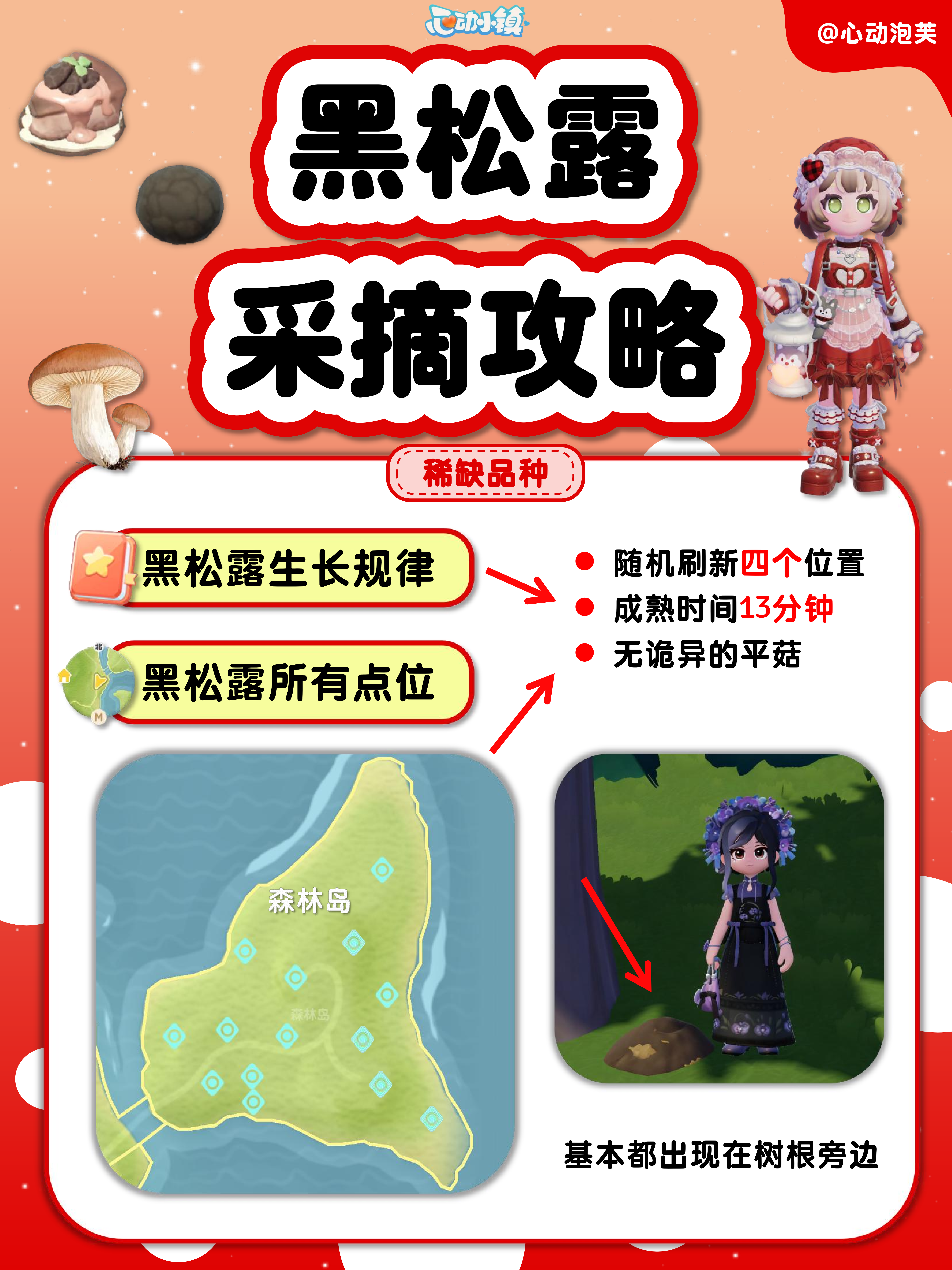 ✅稀缺品种黑松露采摘攻略‼️