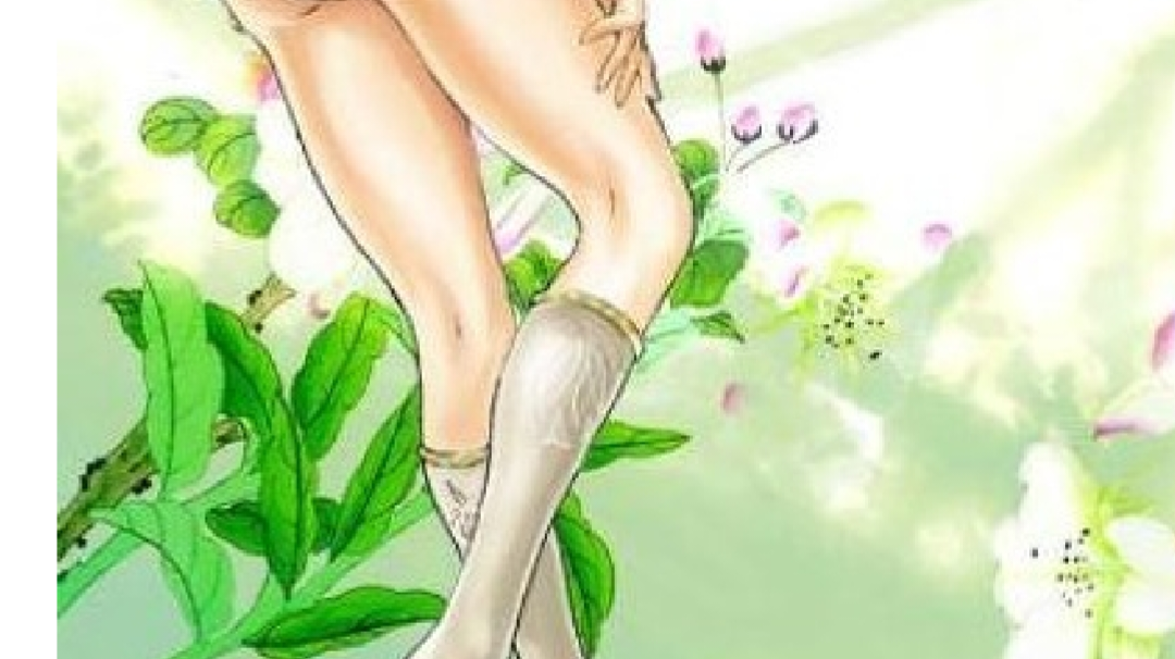 萌新必备反伤流