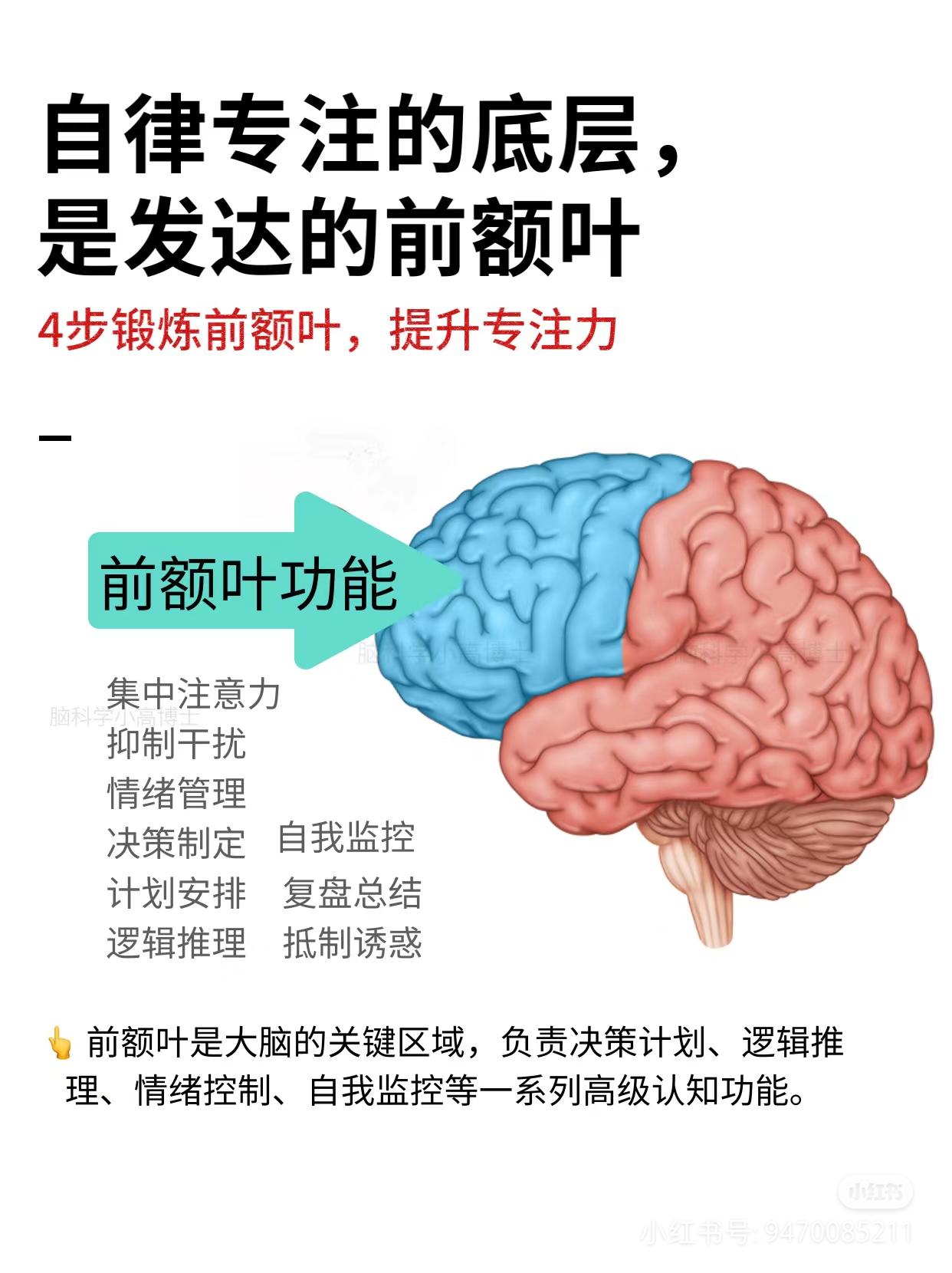 ‘怪盗钴’召唤师皮肤登场！