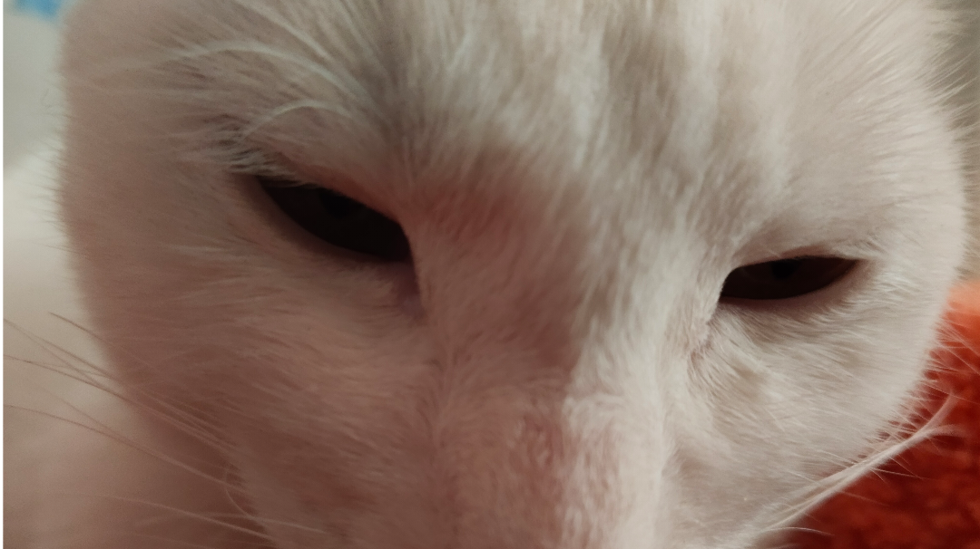 追求爆的招式阴刀