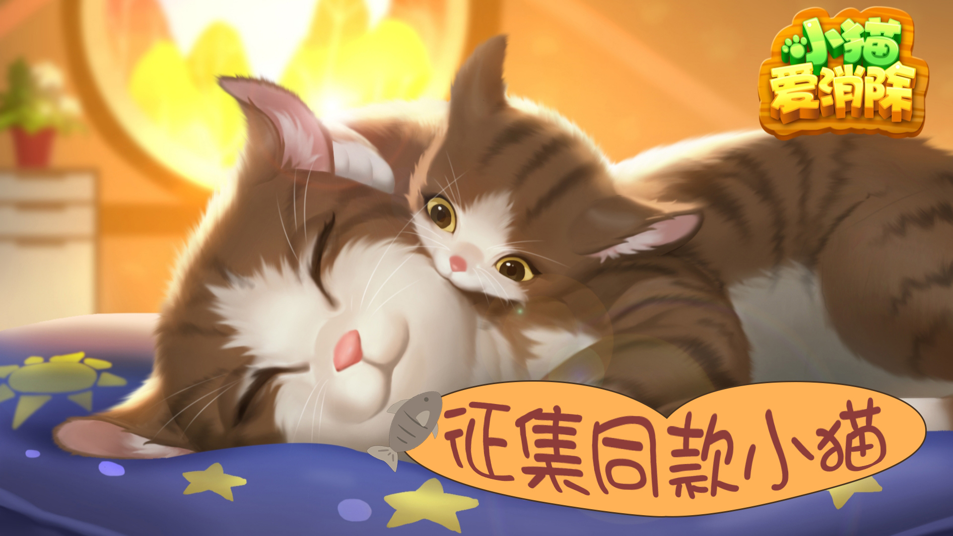 【晒图抽奖】升级福利新活动：征集同款小猫！