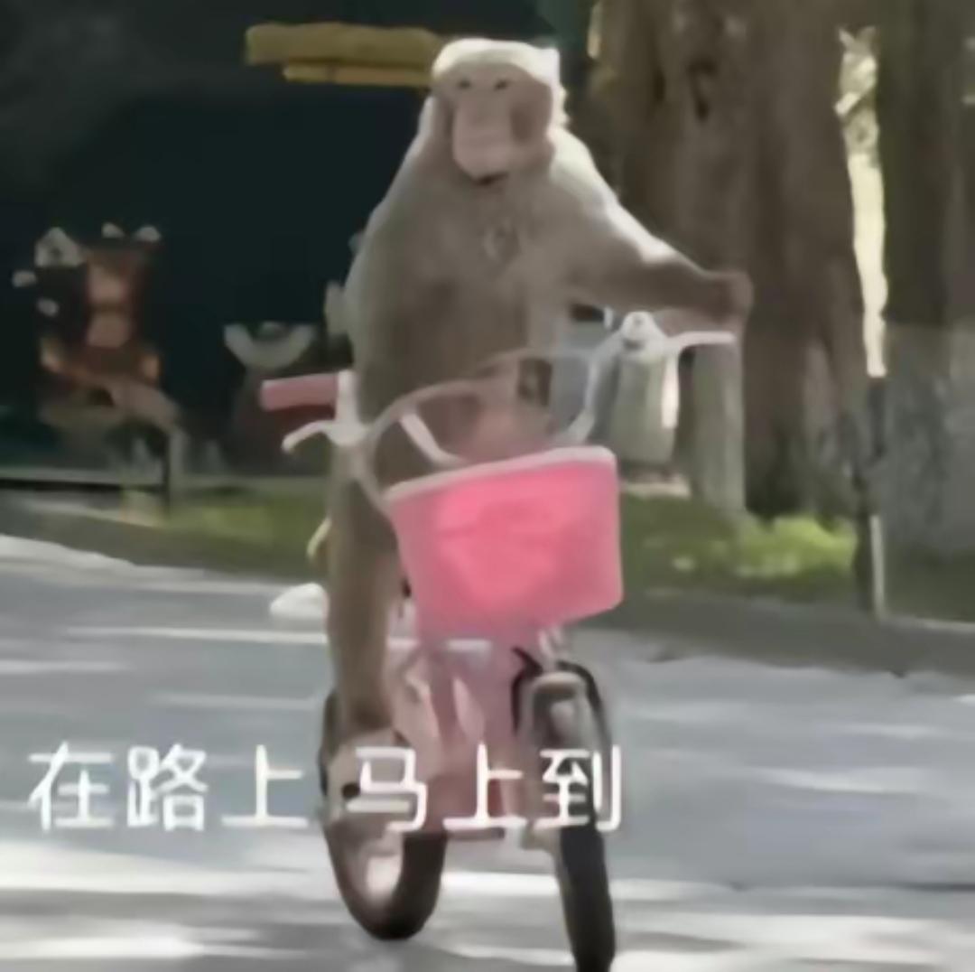 【必看】更新游戏前记得导出存档！！！