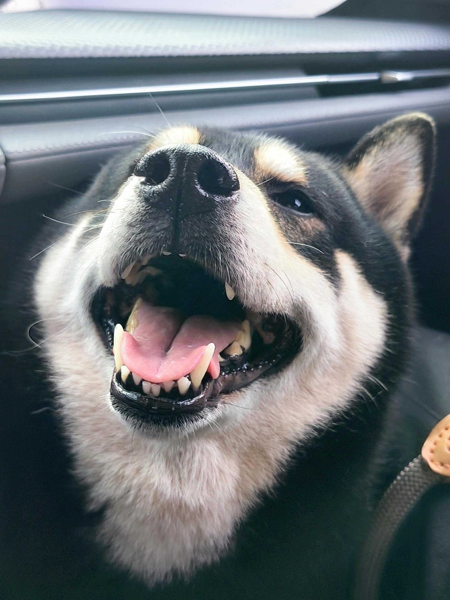 【七日体验感受】终测结束了，等公测咯