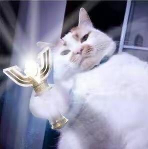 萌新抽卡推荐截图