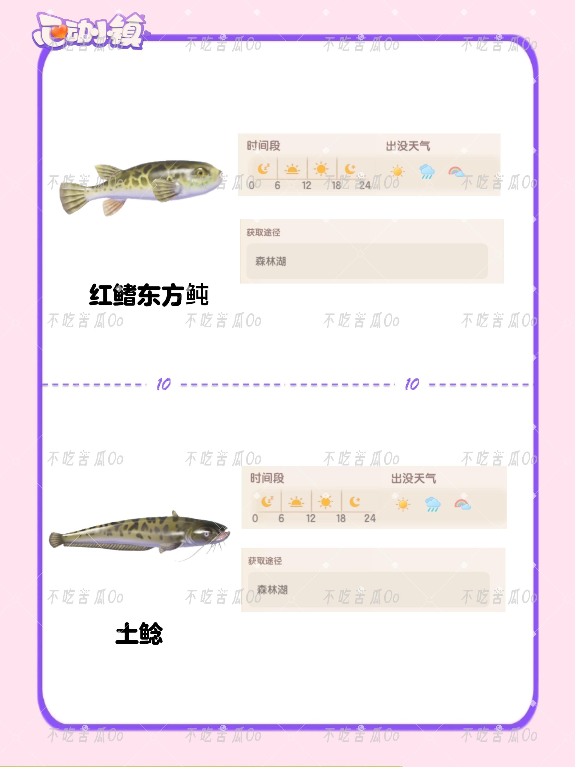 心动小镇潮流季限定鱼类图鉴