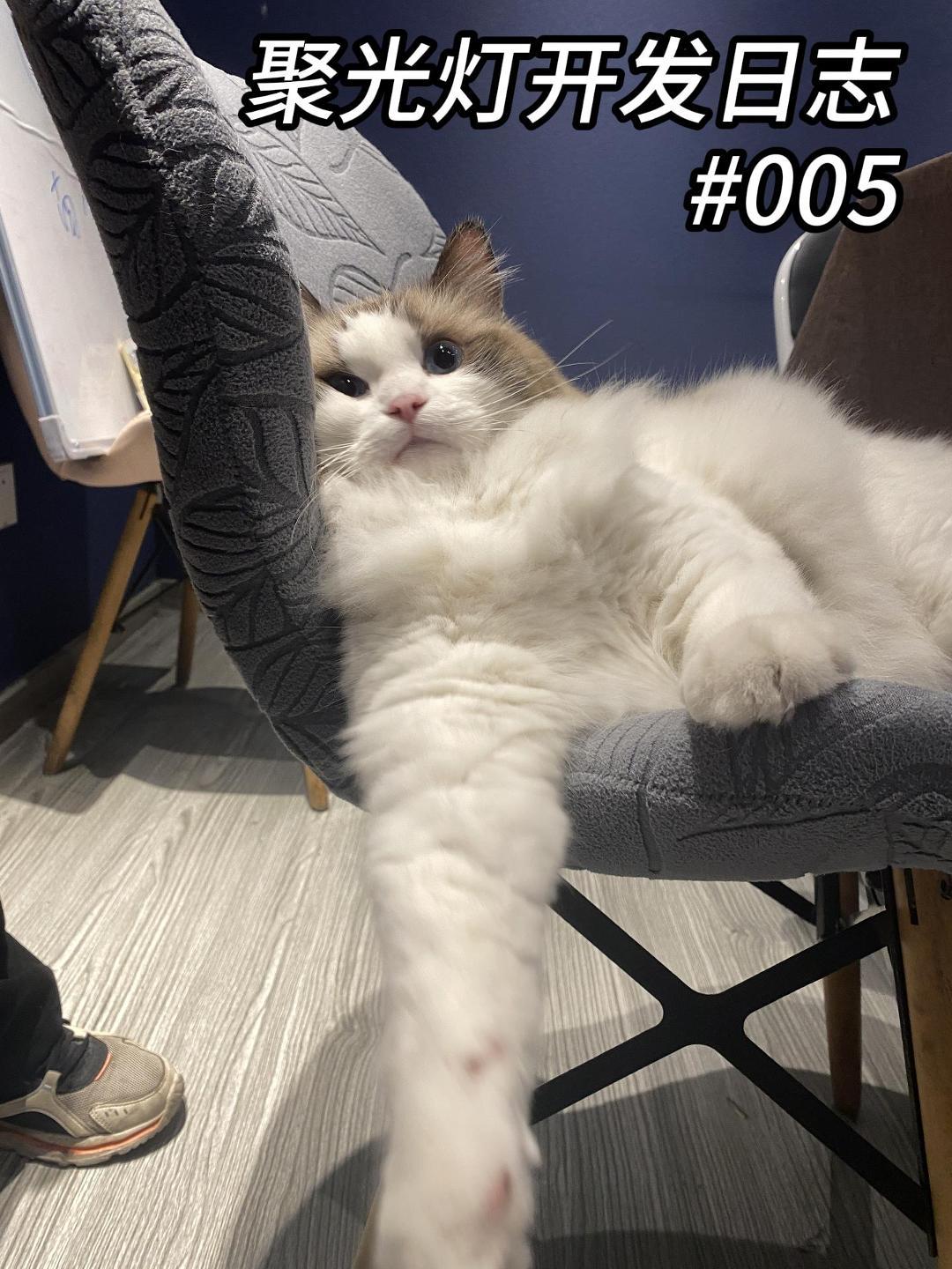 大胃袋的聚光灯游戏开发日志#005