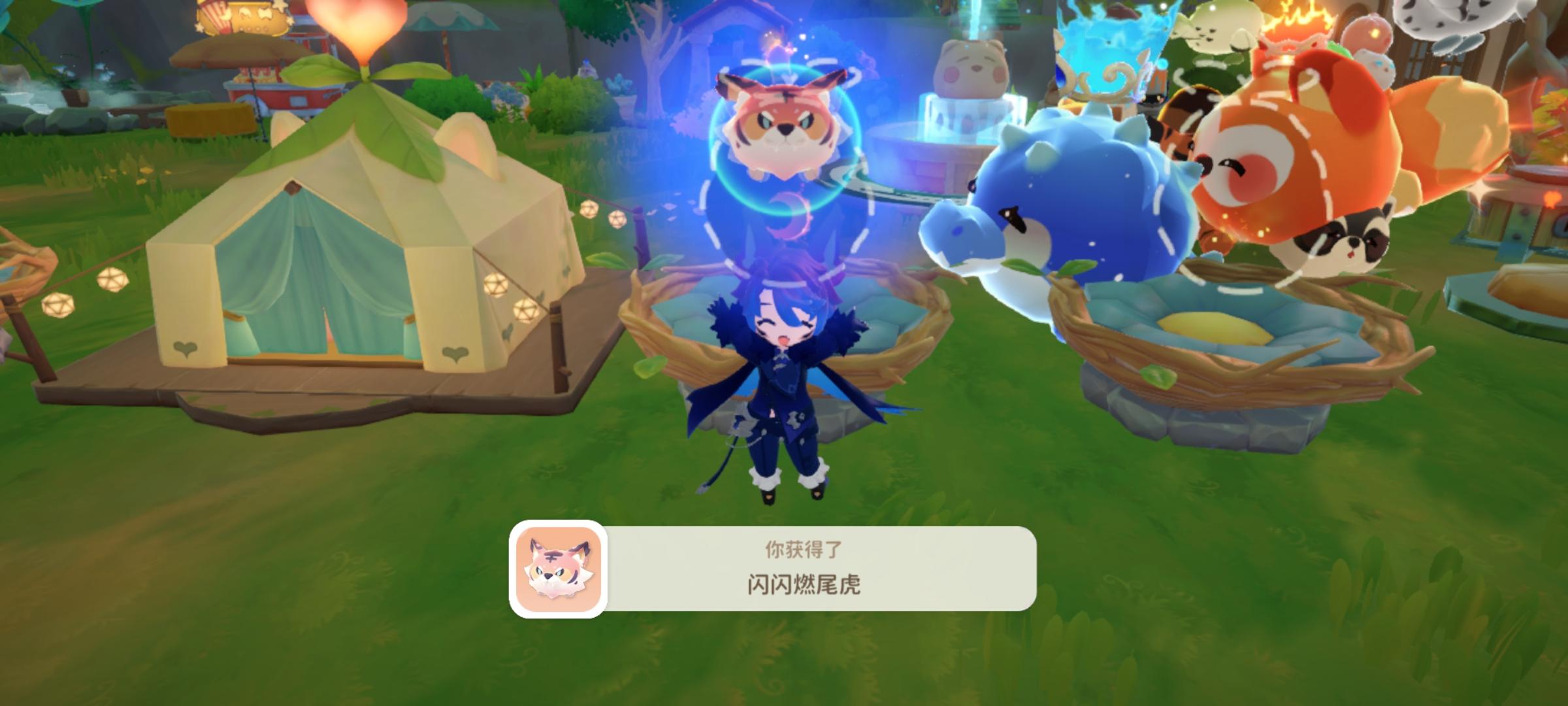 终于我也有闪光燃尾虎了截图