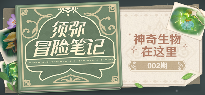 须弥冒险笔记002期：神奇生物在这里