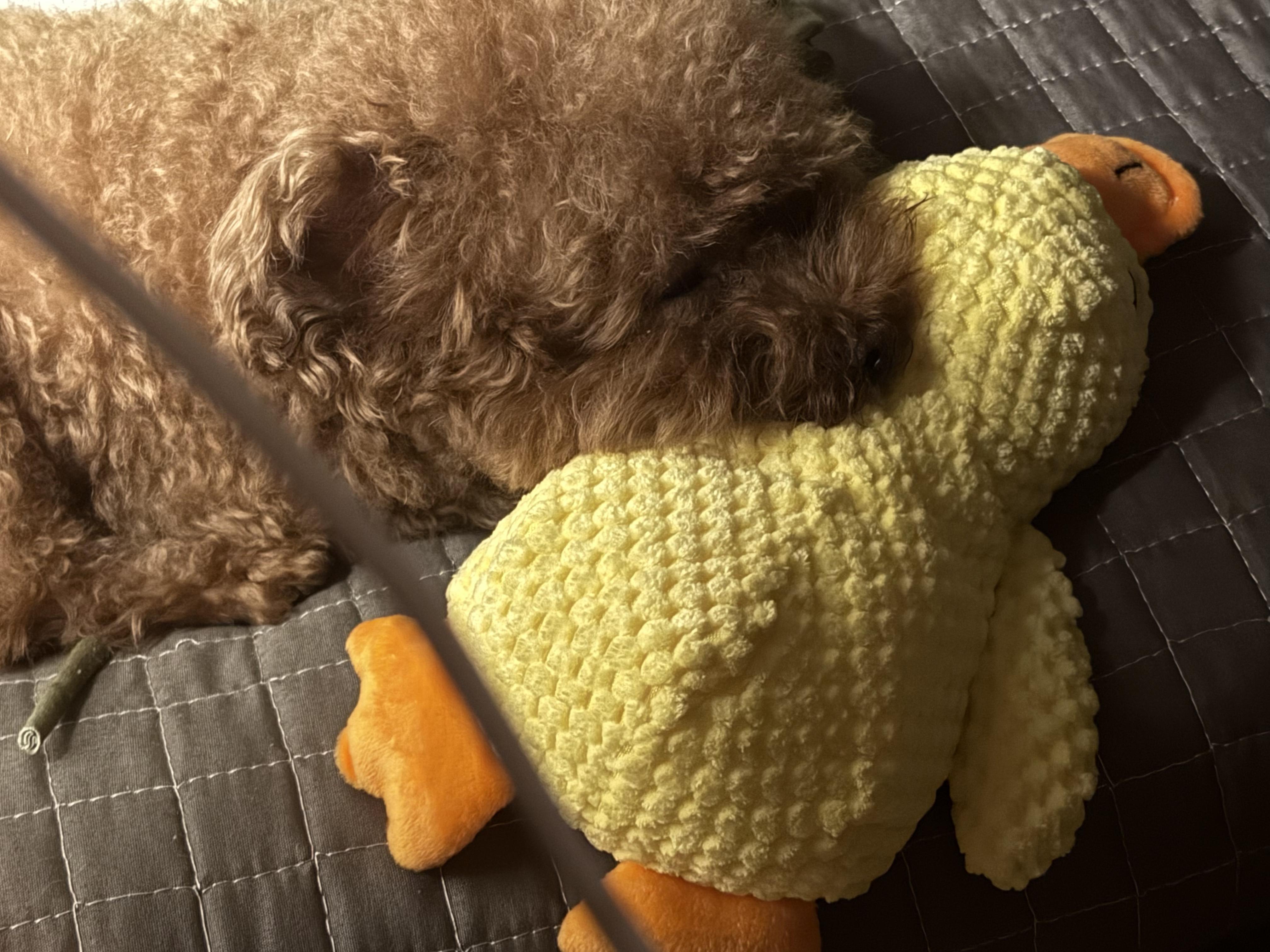 快爽割草肉鸽塔防就来<时温的旅行>！绑定我的邀请码获得专属好礼：300868903，守卫城池就差你啦！截图