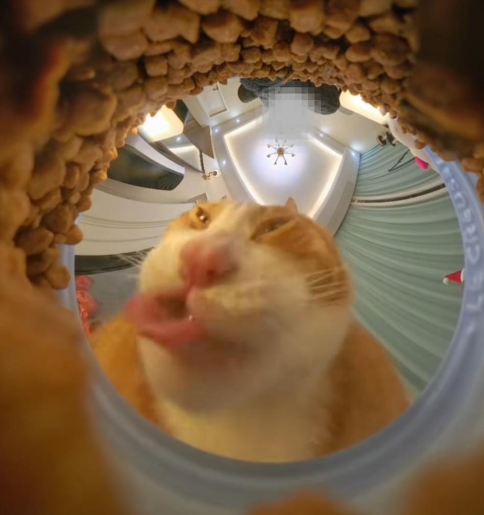 沾了皮三，这辈子算是到头了