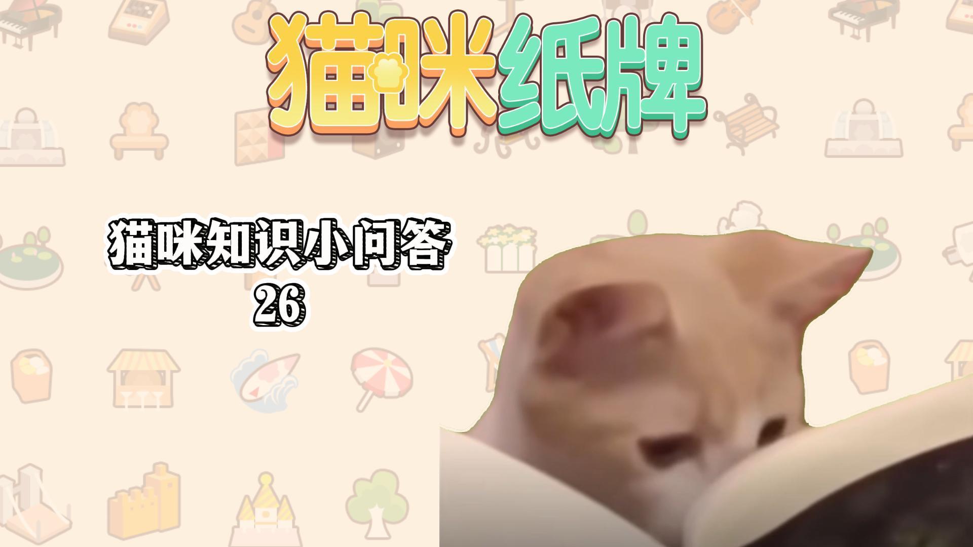 《猫咪纸牌》猫知识小问答 26🐱