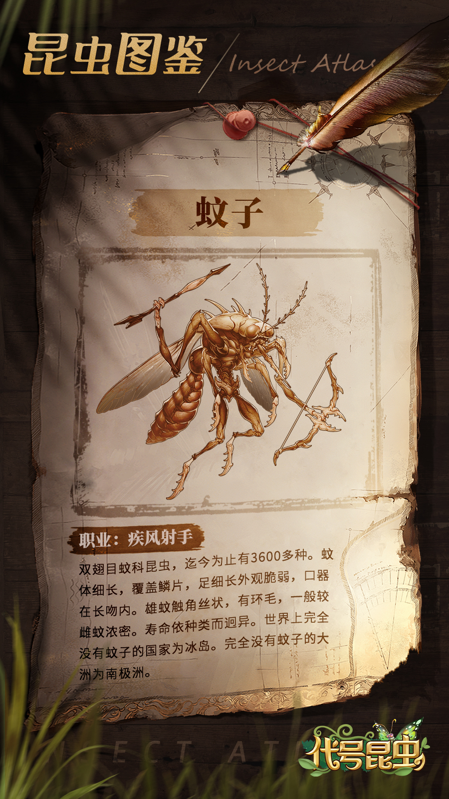 昆虫图鉴|蚊子