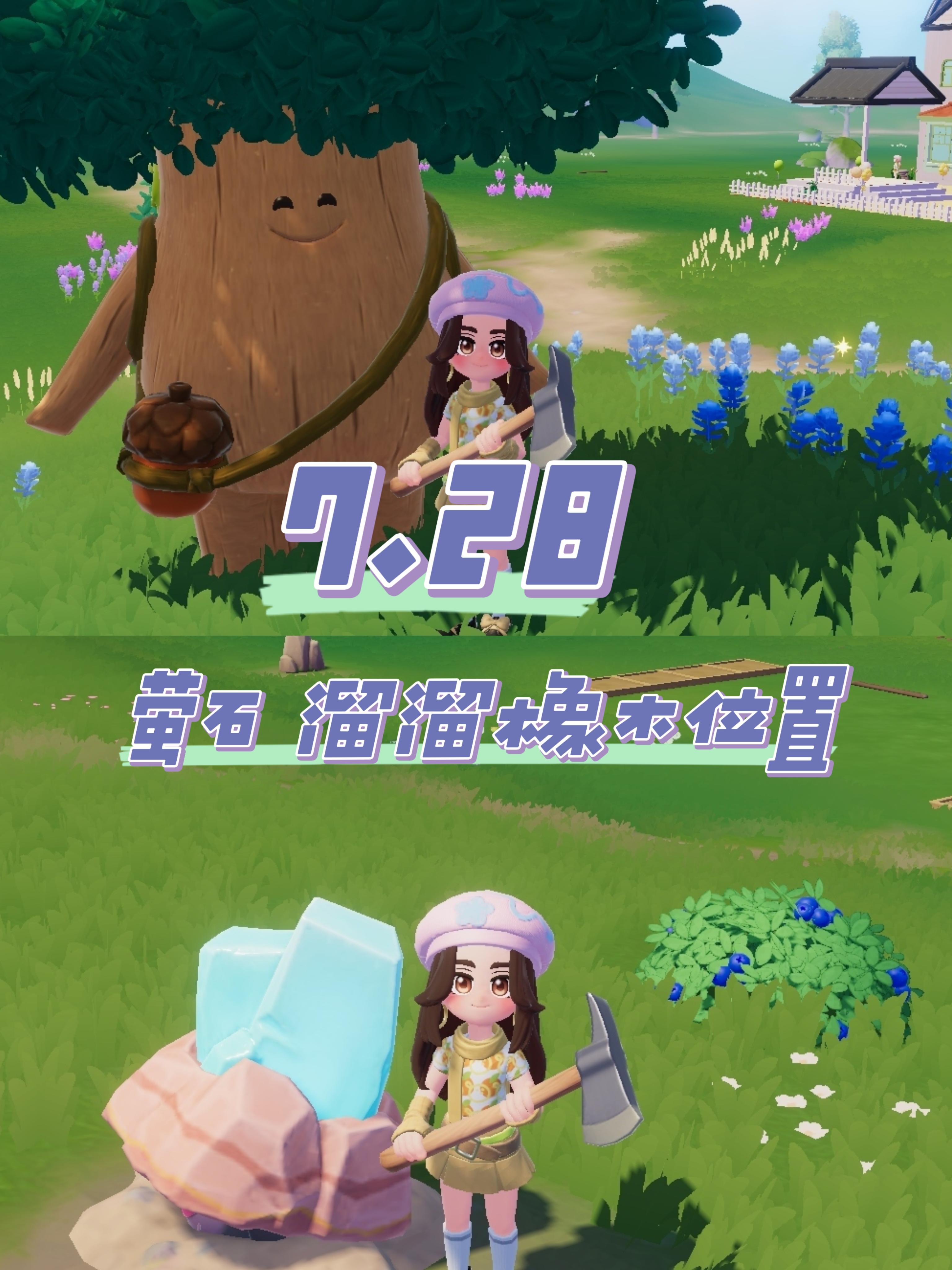 7.28 今日萤石 溜溜橡木位置