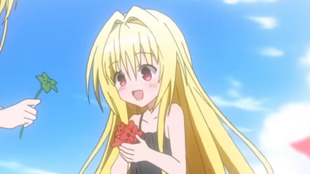 哈基岁の圆角日志（要不到饭篇）