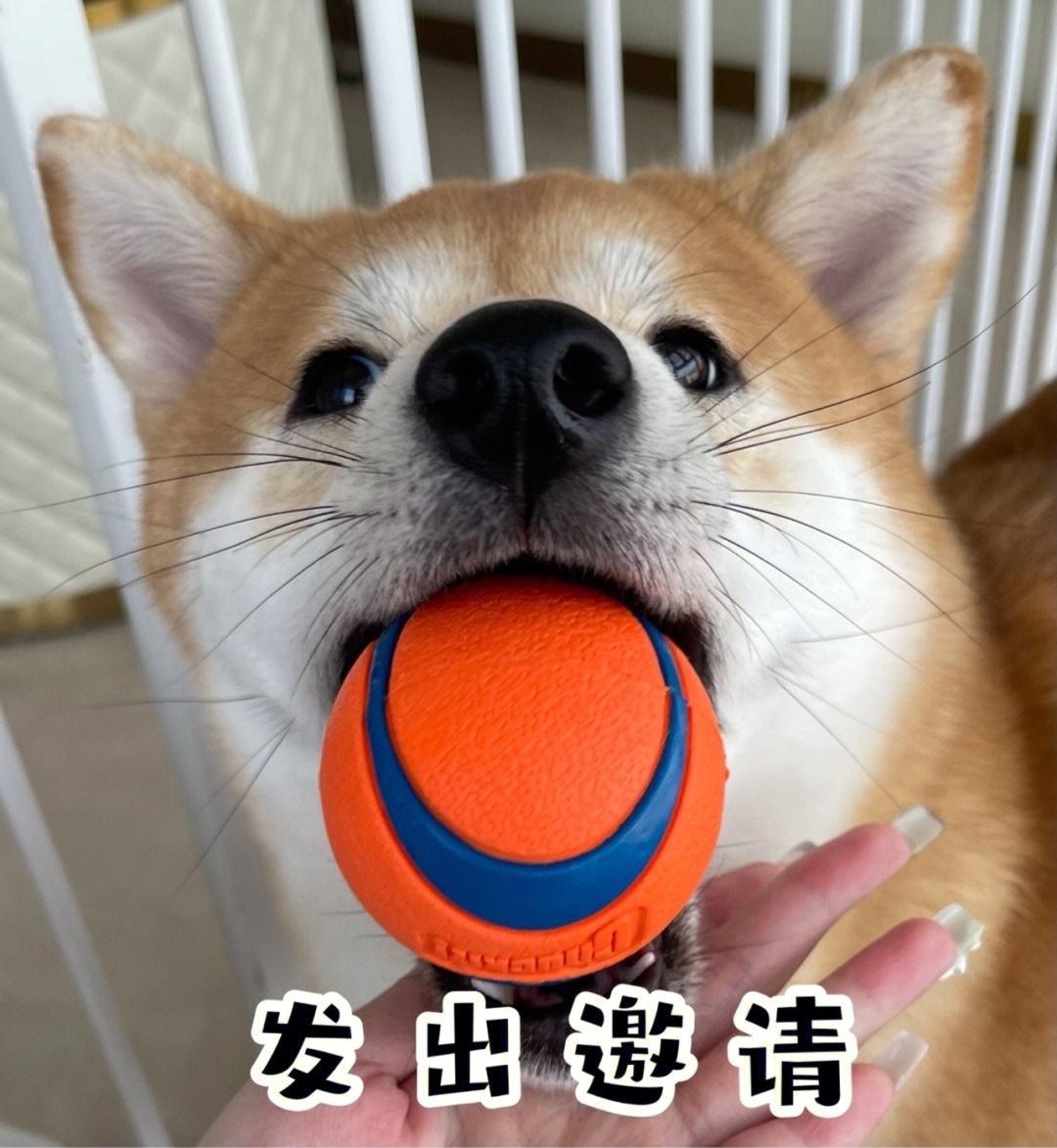 cosplay集合帖