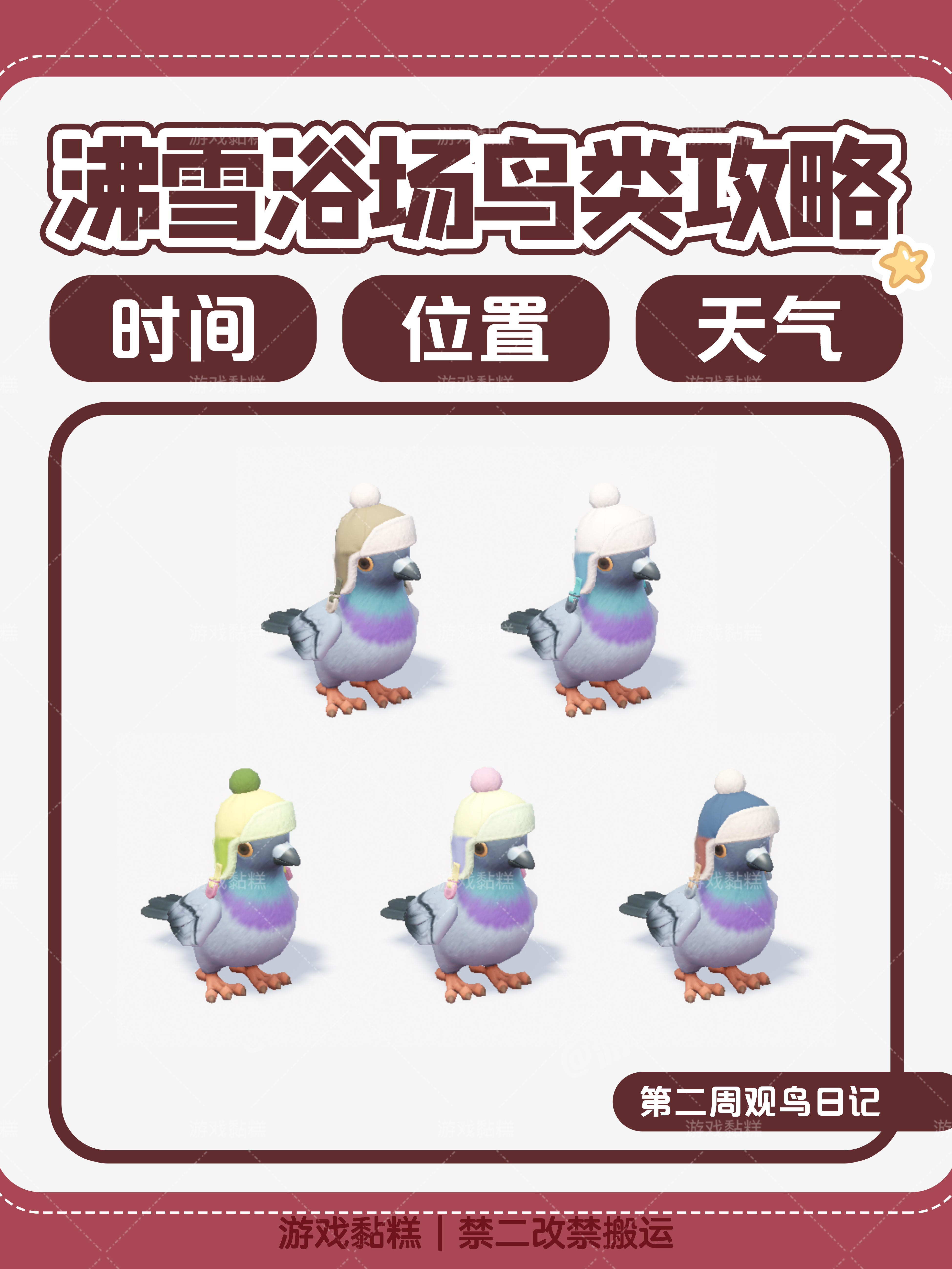 心动小镇｜沸雪浴场5个鸟类攻略【全】