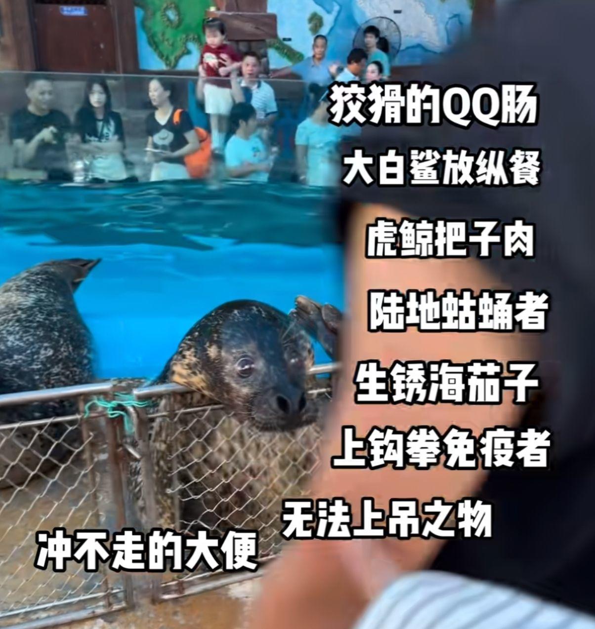 焚金阙董卓行凶