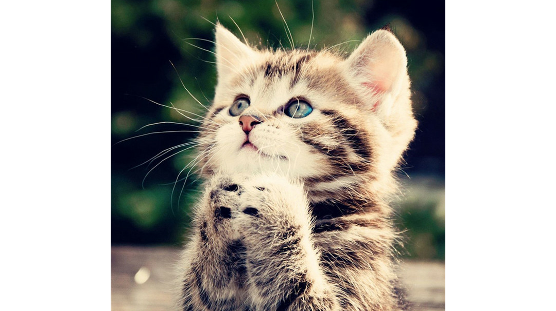 三元合一，天下长安