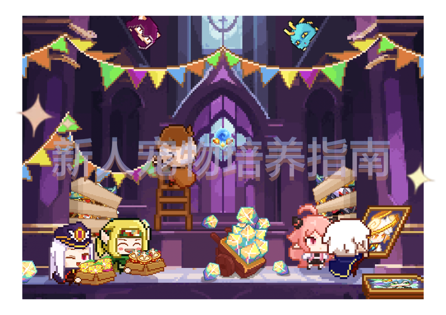 新人宠物培养指南