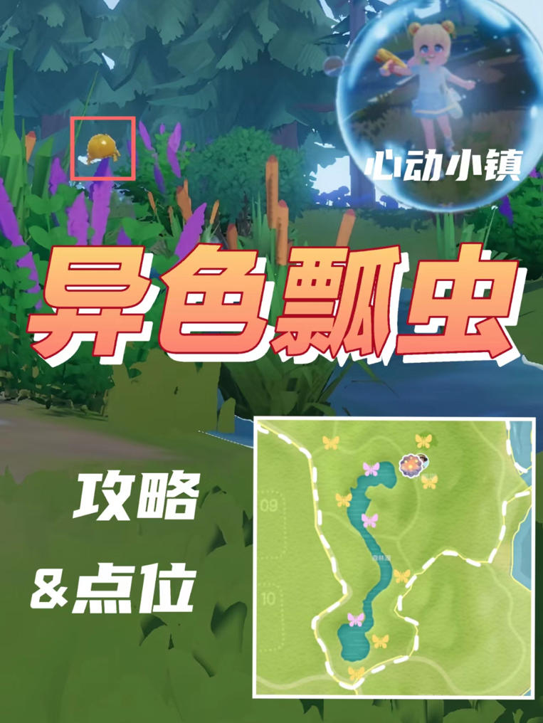 异色瓢虫（5级）捕虫攻略&点位