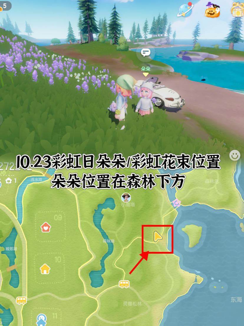 10.23朵朵以及彩虹花束位置