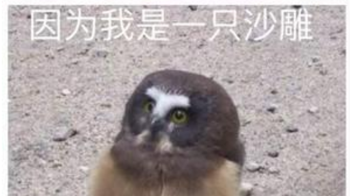 个人PtT变化记录贴