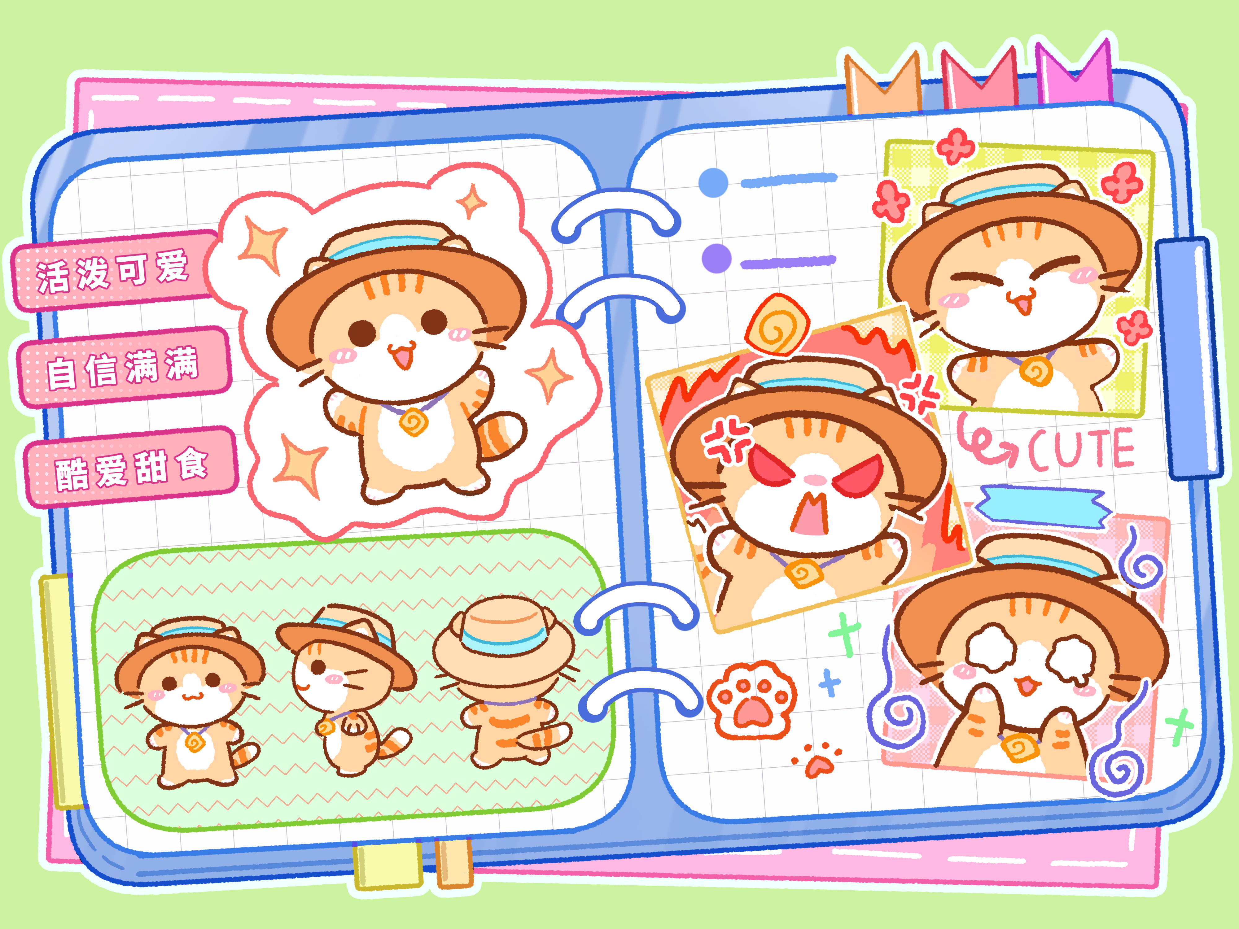 📖橘猫团宝来力！