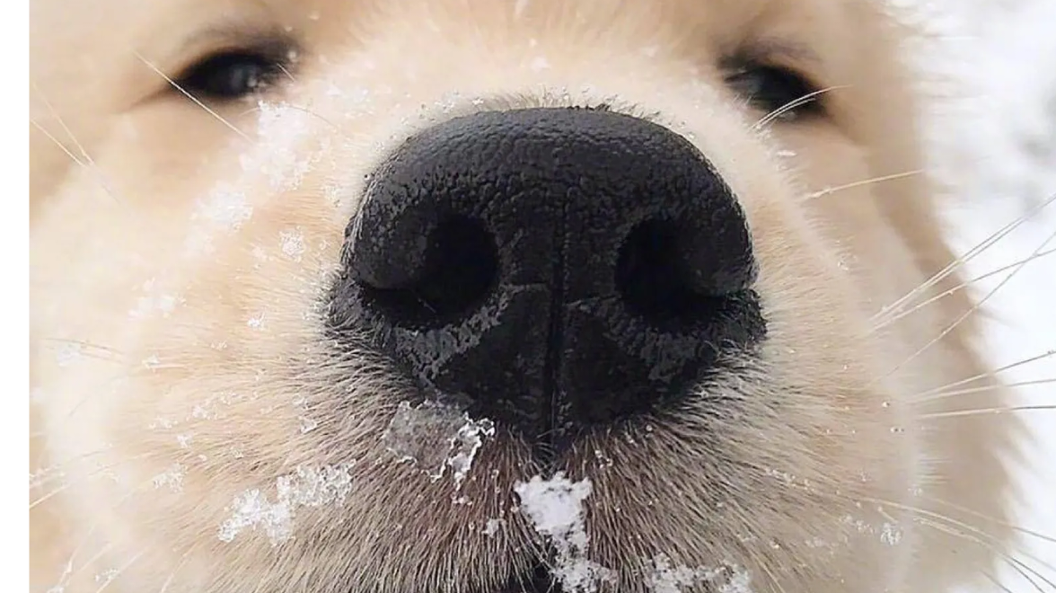 给装备分一个内外背包